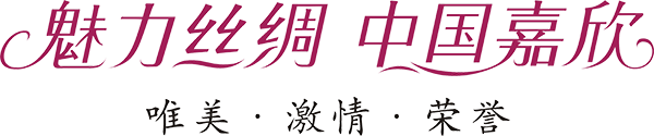 1.魅力丝绸 中国东升国际源文件